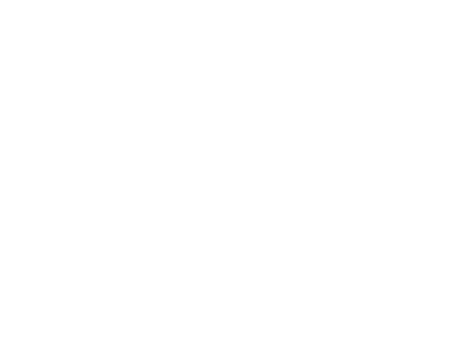 Graffiti-Schriftzug "Partner in Crime