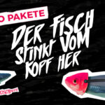 SEO-Pakete, sprichwörtlicher Fisch, Textillustration.