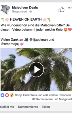 Screenshot von Malediven-Videopost mit Palmen